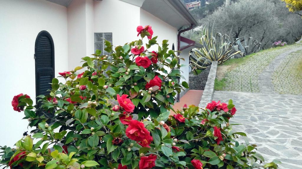 Villa Il Pettirosso Λα Σπέτσια Δωμάτιο φωτογραφία